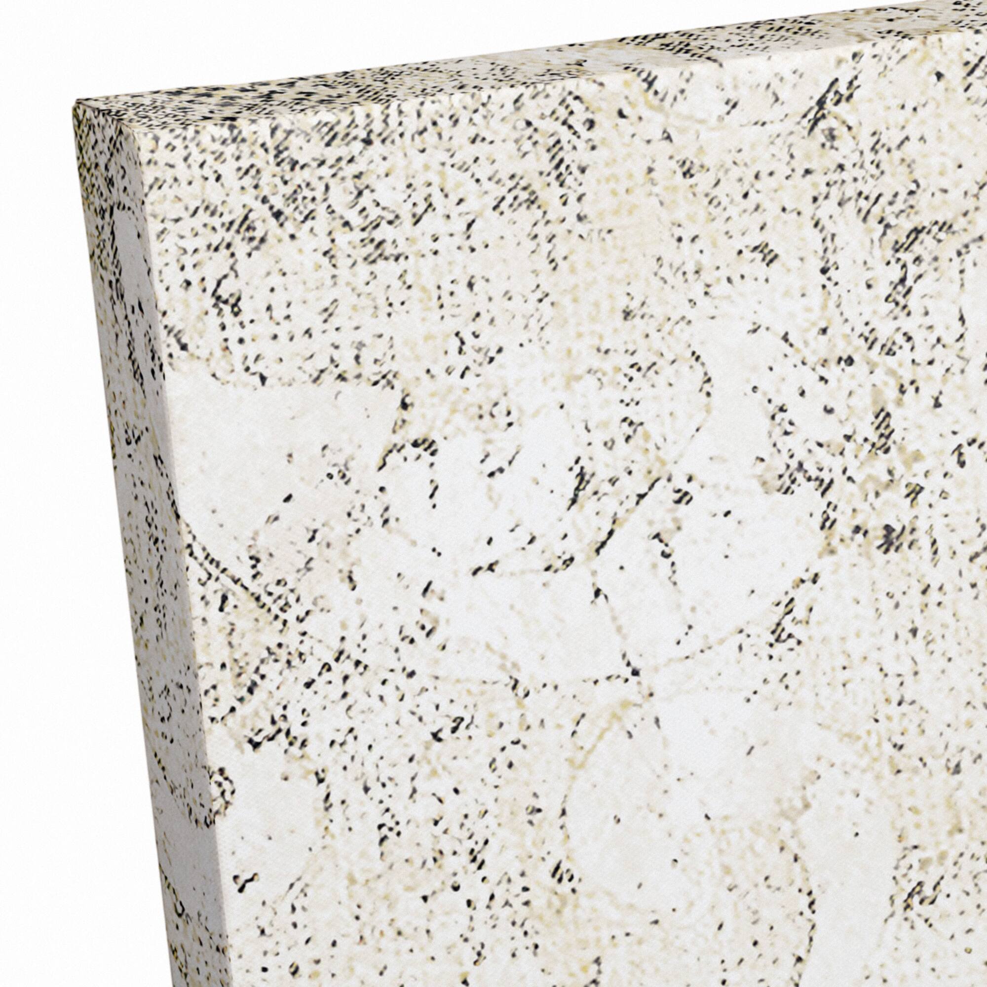 Apothecary Spot 2 24" x 30" Canvas Wall Art